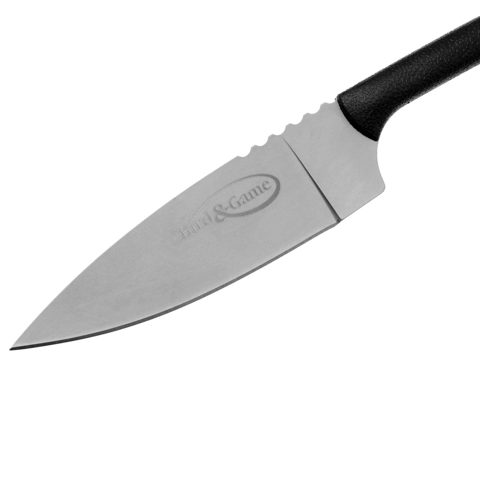 Cold Steel 3.5" Bird & Game Lightweight Durable Japanese AUS8A Stainless Steel Fixed Blade Drop Point Outdoor Hunting Neck Knife, Resistant Secure-Ex Sheath