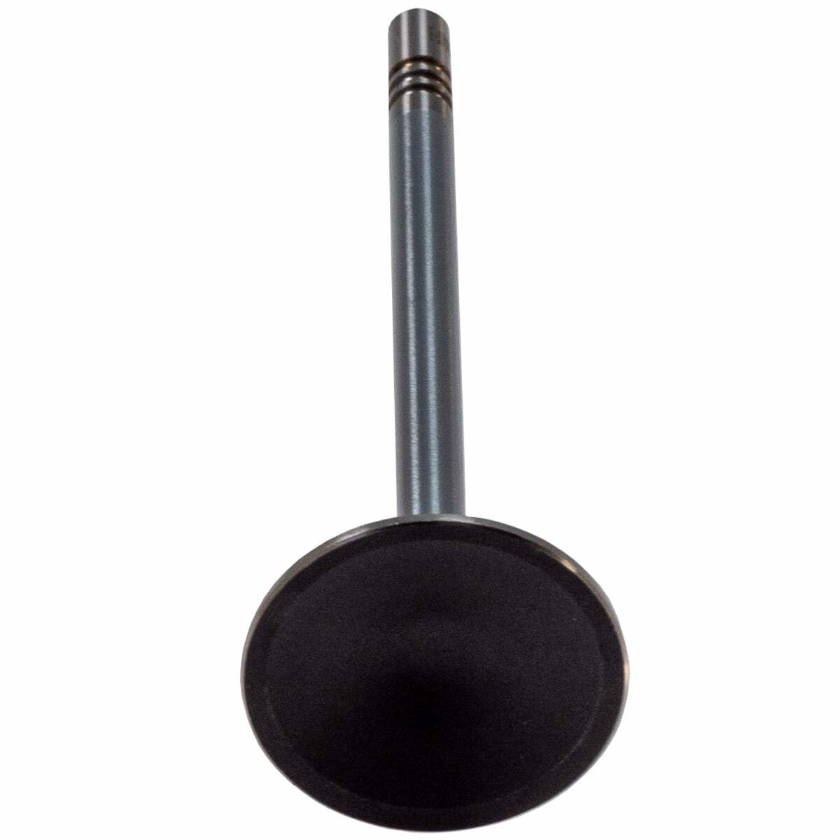 V5560 Melling Exhaust Valve