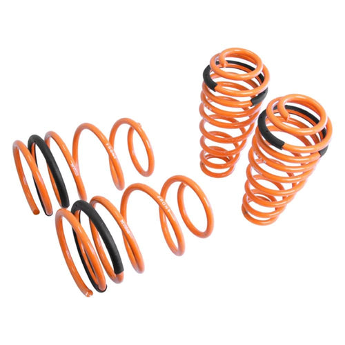 Coilover Lowering Spring Megan Racing MR-LS-FM05