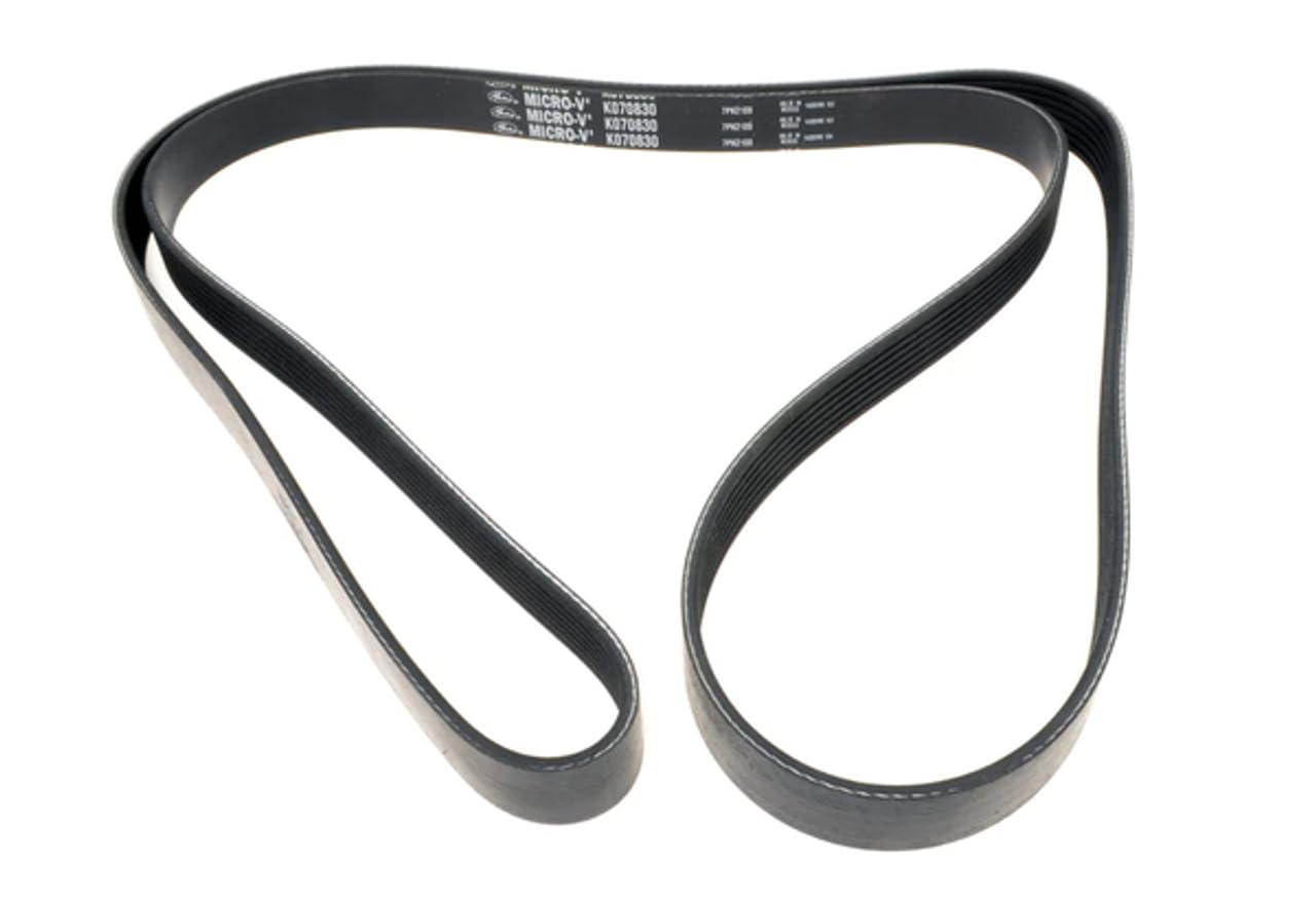 Premium Automotive Gates Timing Belt T336