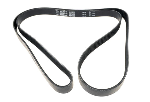 Premium Automotive Gates Timing Belt T336