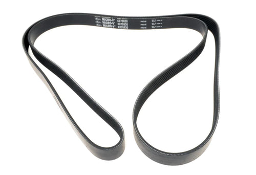 Premium Automotive Gates Timing Belt T336