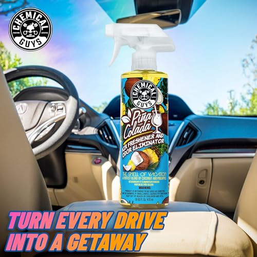 Chemical Guys Premium Air Freshener & Odor Eliminator AIR22904 (4 Oz, Piña Colada Scent)