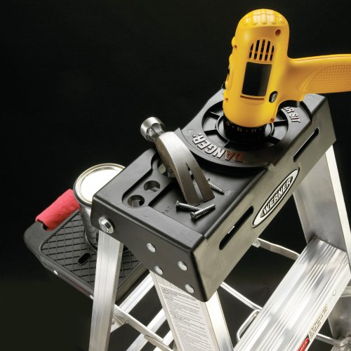6 Feet Werner 376 Ladder, Black