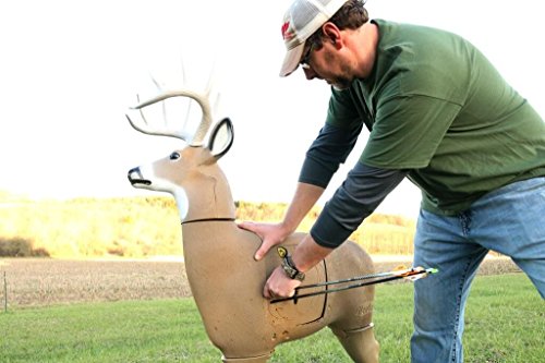 Crossbow GLENDEL Buck 3D Archery Deer Target with Replaceable Core, Life Size 200 Pounds, Brown