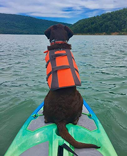 Hi Life Perception Kayak for Recreation