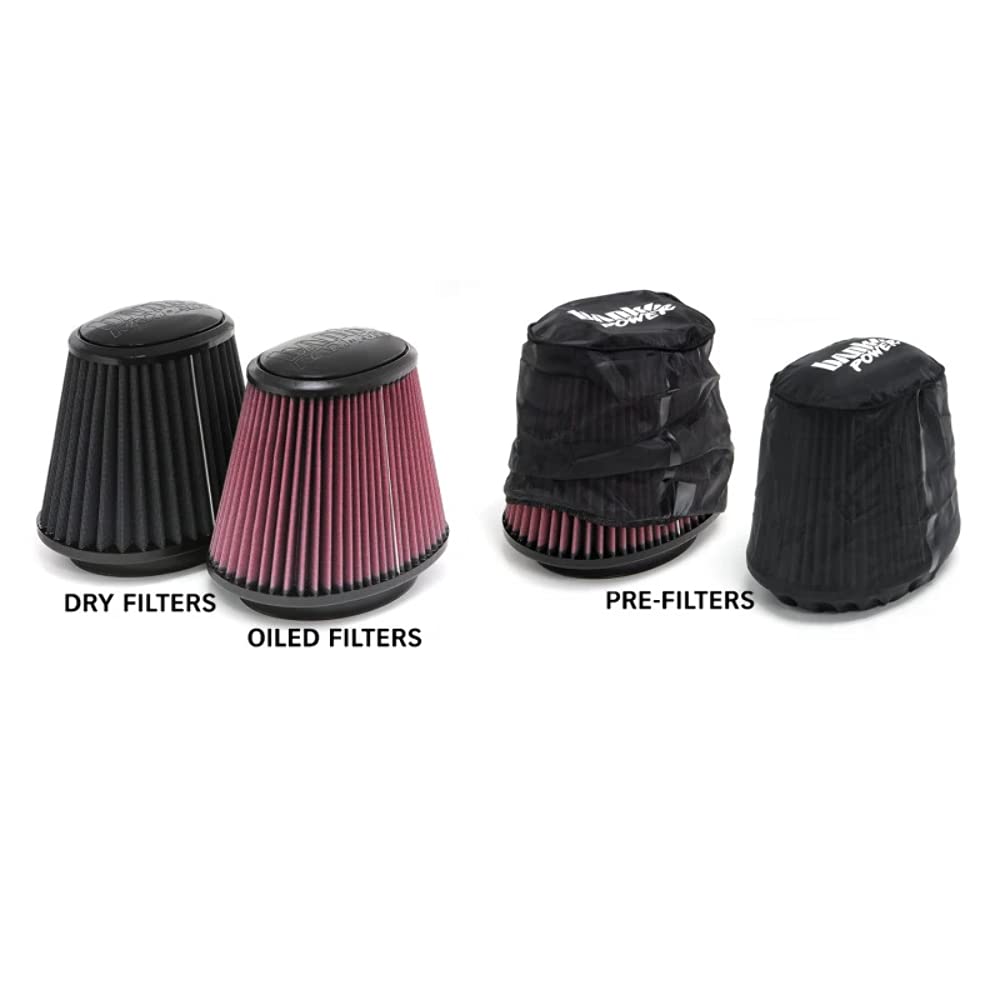 42210-D Banks Air Intake System
