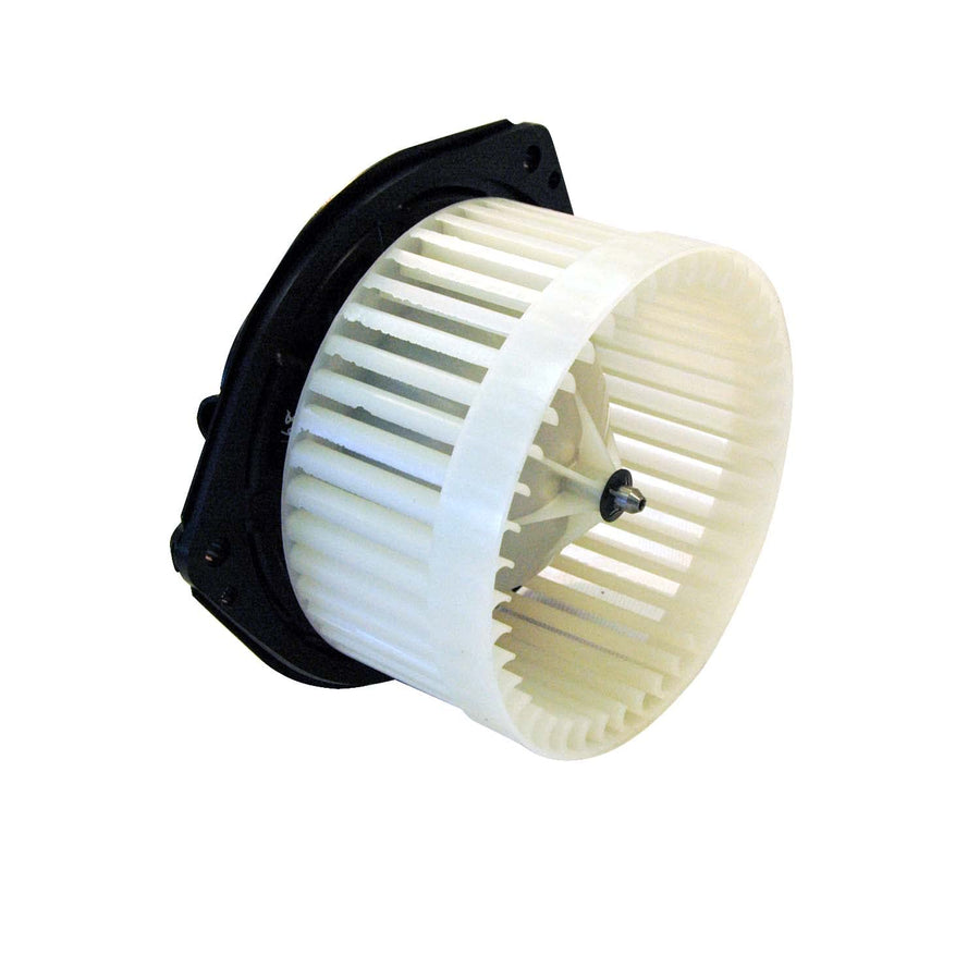 Blower Assy TYC 03-05 Bk Pk Ave