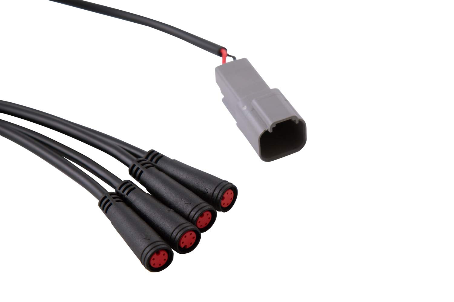 RGBW Diode Dynamics 24-Key M8 RF Controller (DD3040)