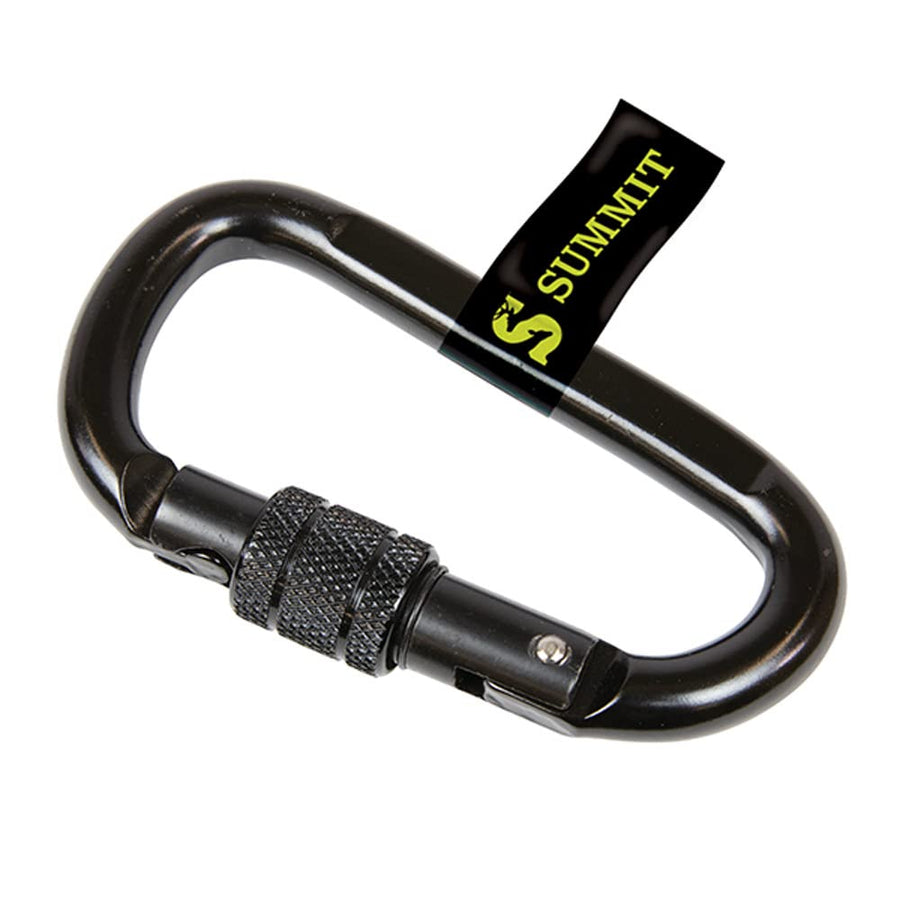 Locking Summit Carabiner, 1-Pack