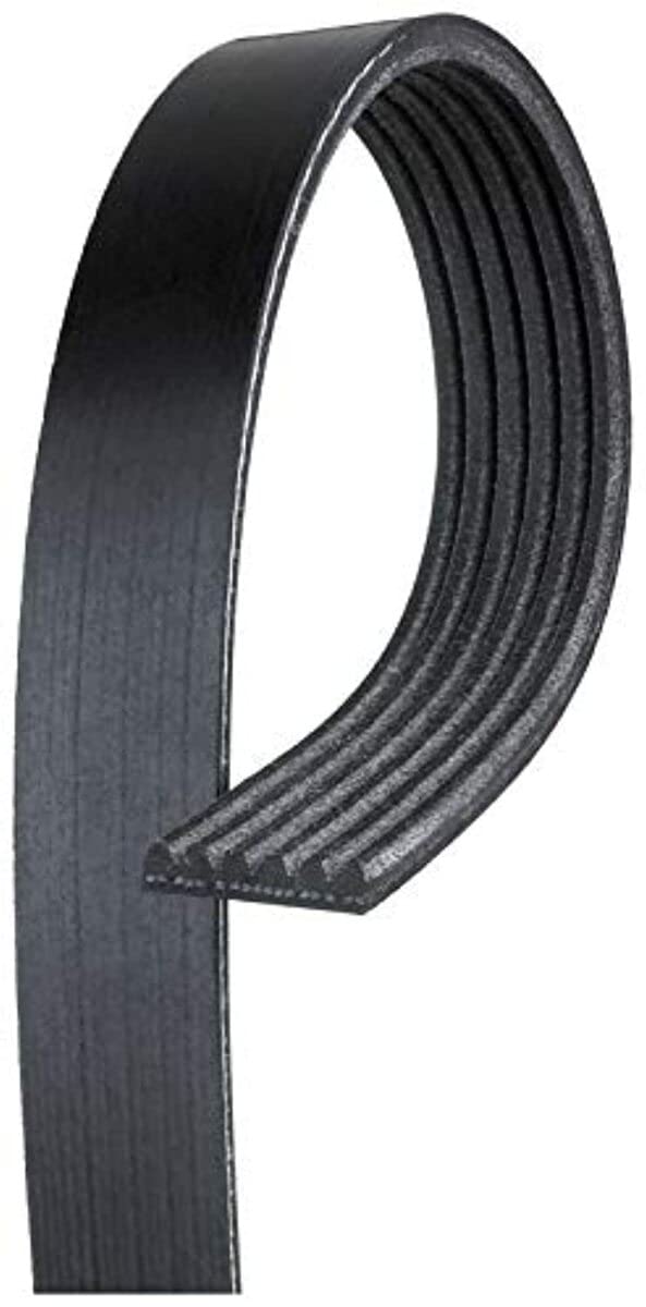 6K923AP Gates Roadmax Serpentine Belt
