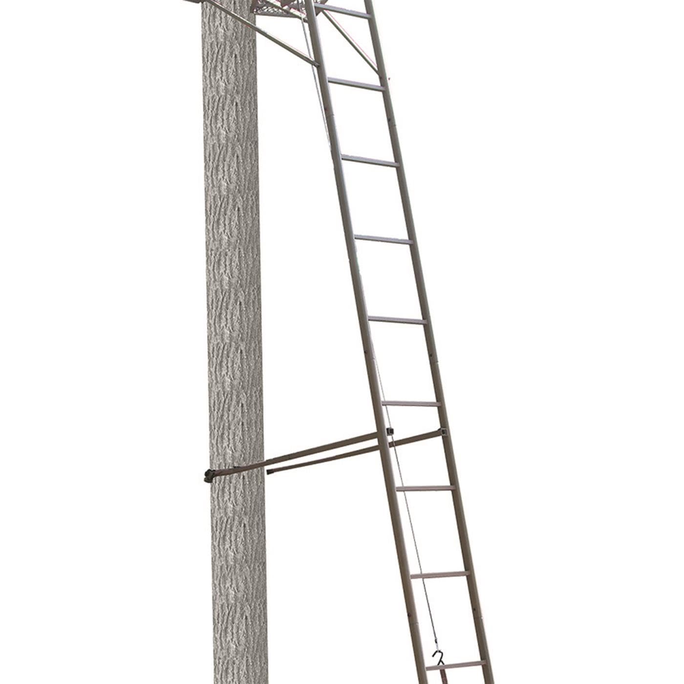 Freedom Trophy Treestands Ladder Stand