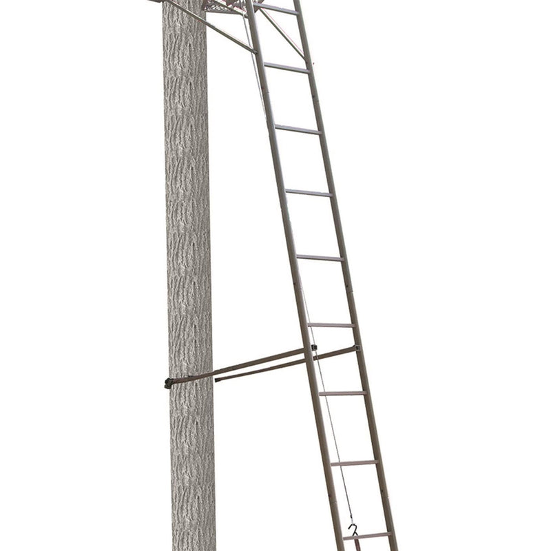 Freedom Trophy Treestands Ladder Stand