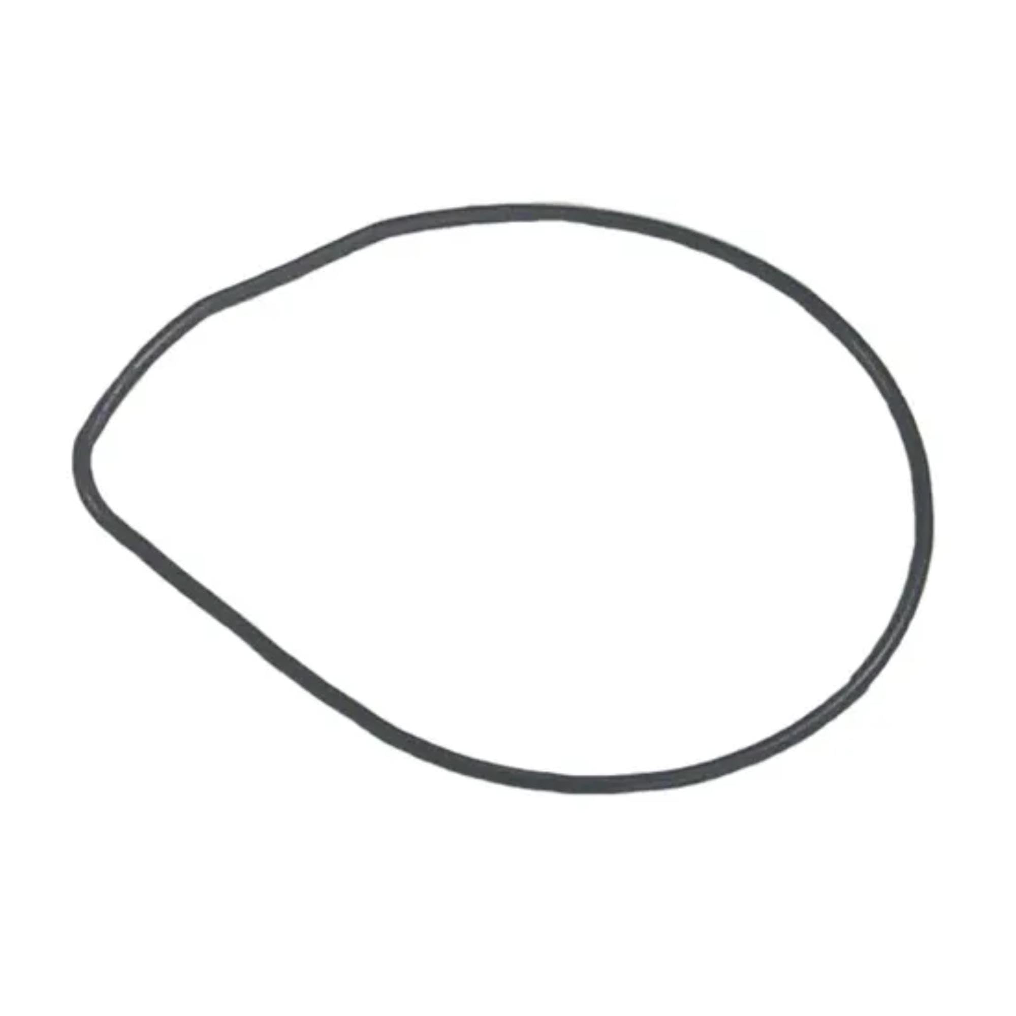 O-Ring Sierra (Priced Per Pkg of 2), 18-7481-9
