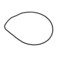 O-Ring Sierra (Priced Per Pkg of 2), 18-7481-9