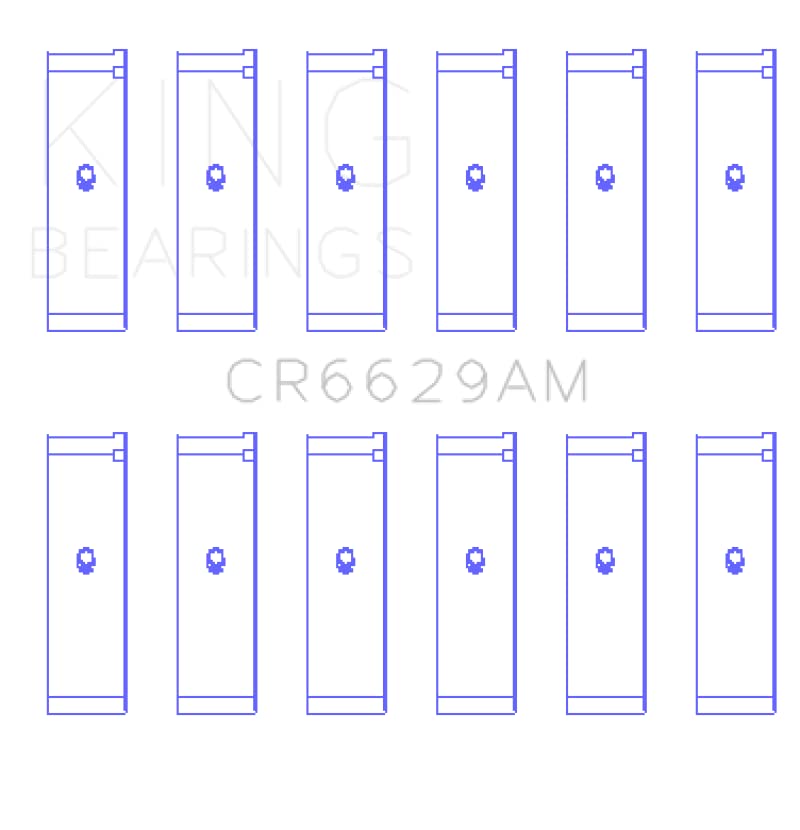 CR6629AM0.5 King Engine Bearings Connecting Rod Bearing Set