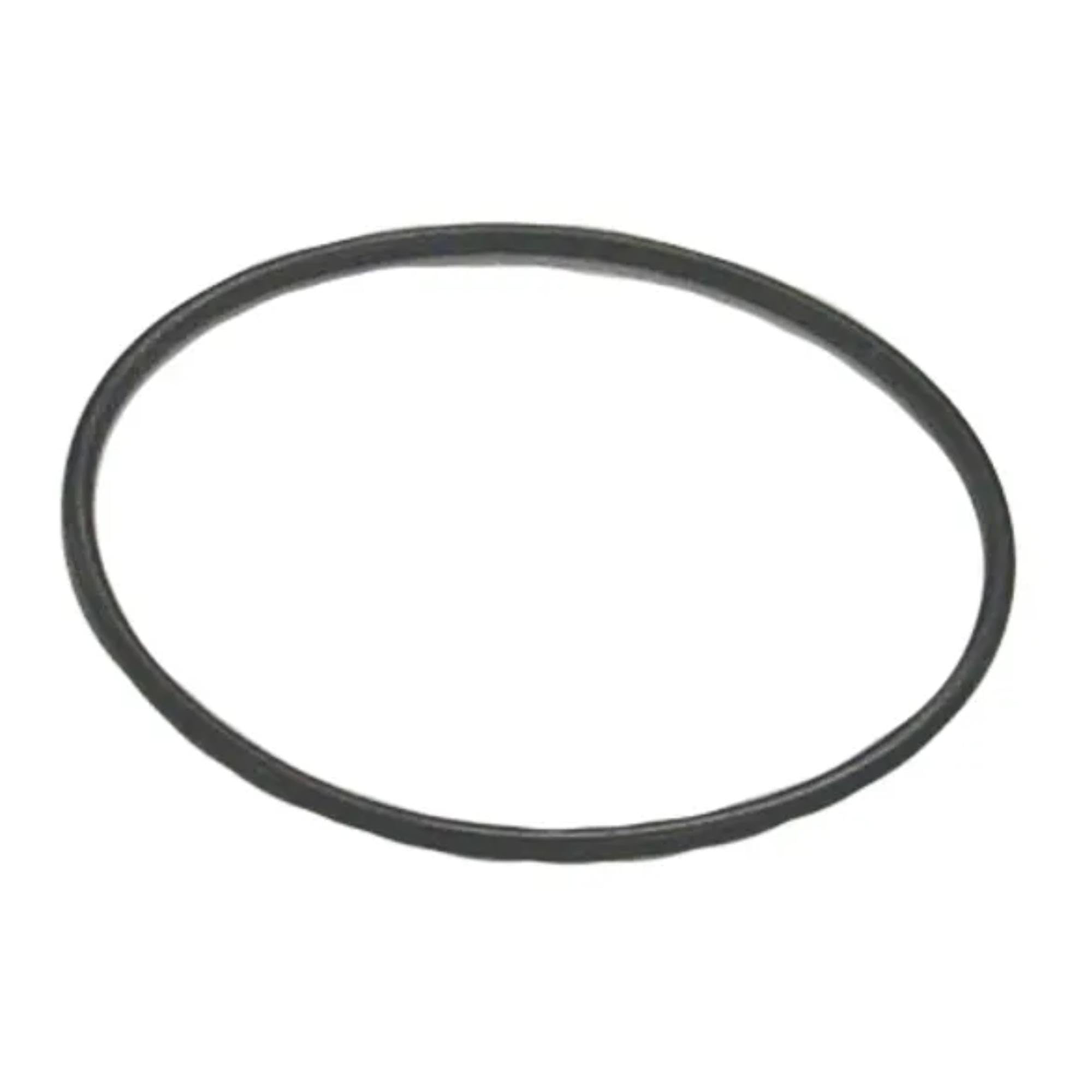 O-Ring Sierra (Priced Per Pkg of 5), 18-7167-9