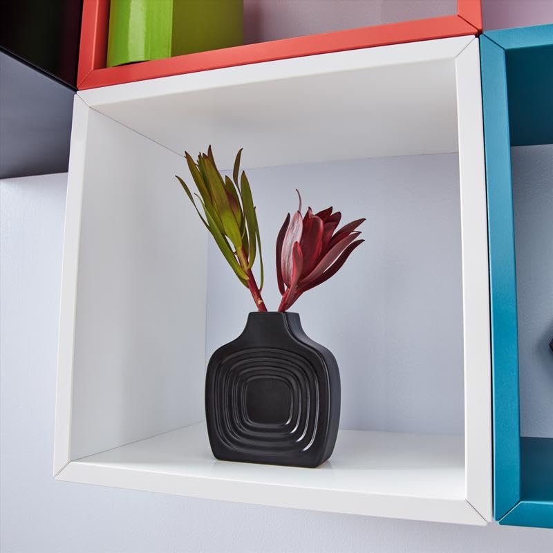 SPRY PNT FSN GLS Black Krylon