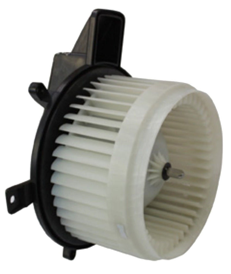 Replacement TYC 700216 Blower Assembly
