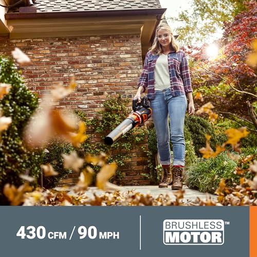 Cordless WORX Leaf Blower, Electric Blower for Lawn Care wth Brushless Motor, 2 × 2.5 Ah Batteries & Charger Included, WG584