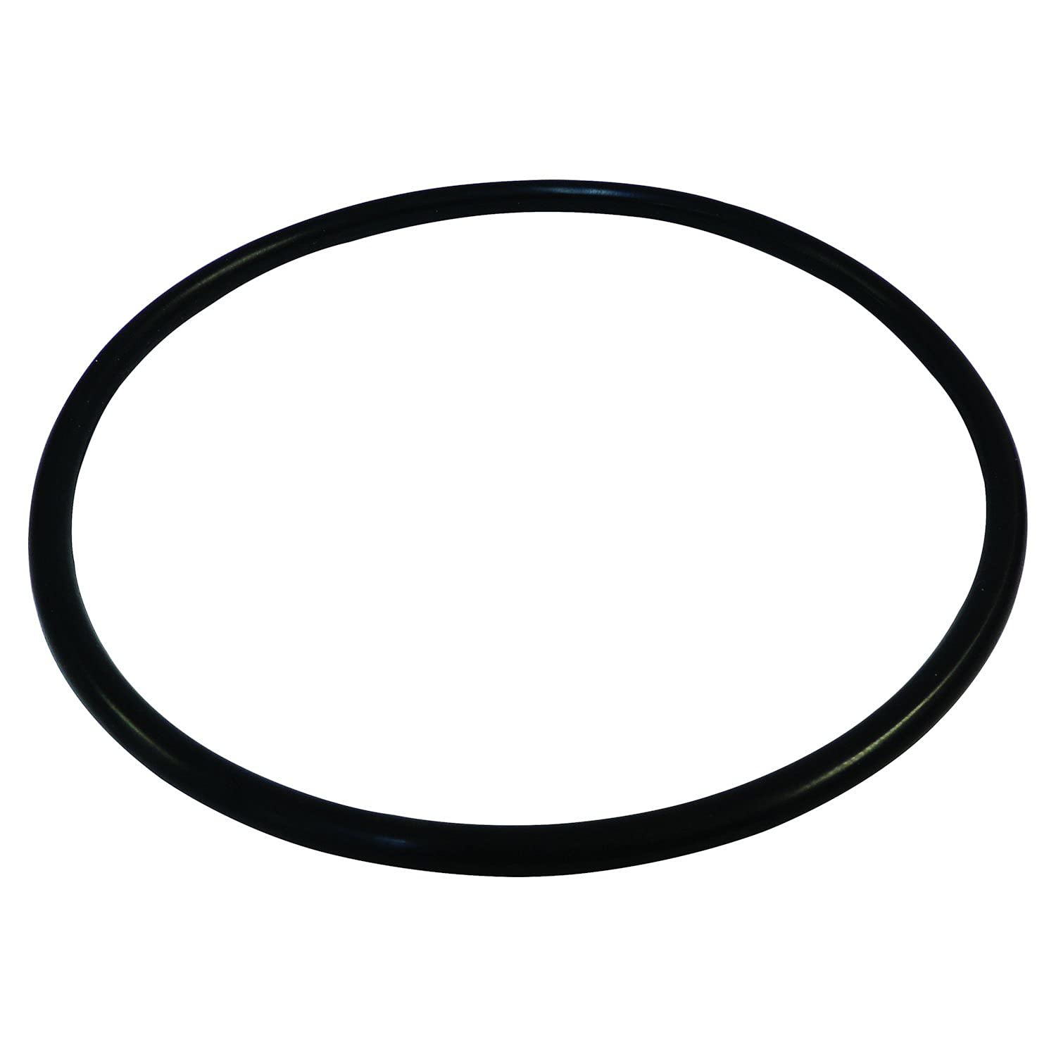 Automotive Crown Fuel Module O-Ring