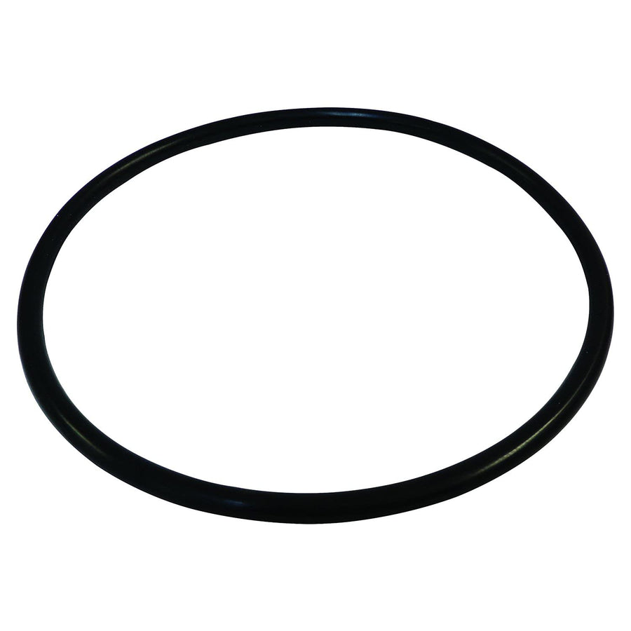 Automotive Crown Fuel Module O-Ring