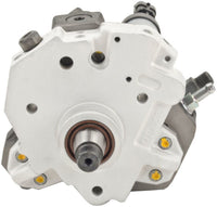 Piston Bosch Pump (0986437303)