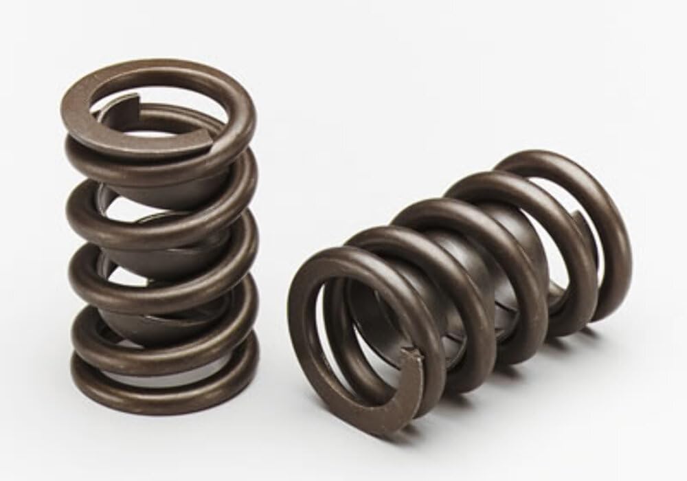 22406-16 Manley in our Valve Springs Department