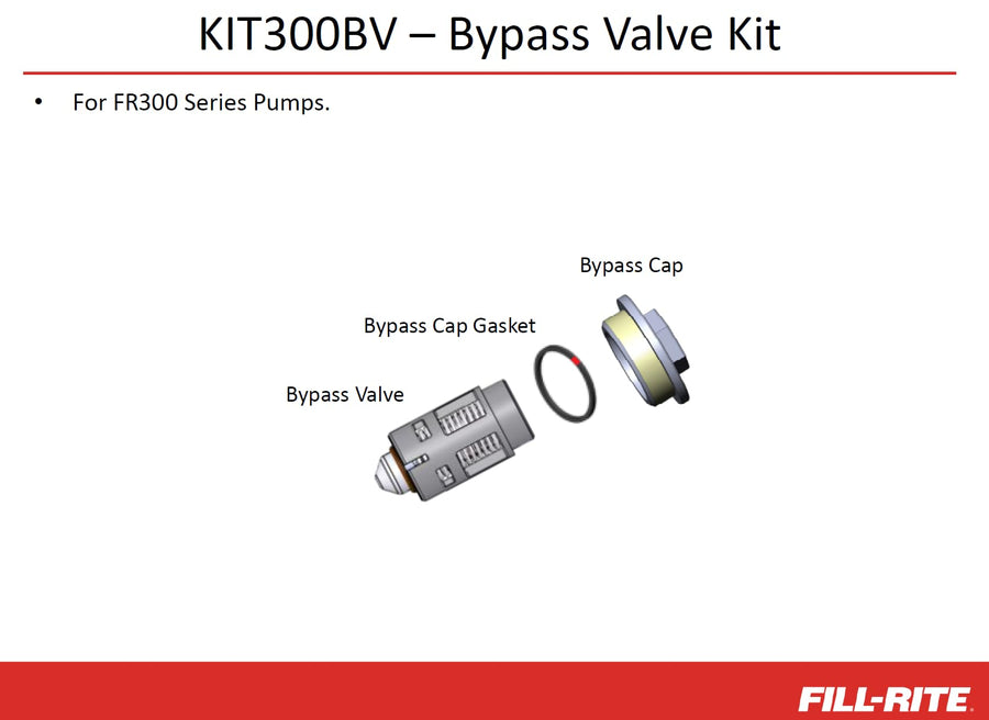 Fill-Rite Bypass Valve Kit KIT300BV for FR300 Series Pumps - Includes Valve, Cap Gasket & Cap - DIY FR300 Series Fluid Pump Rebuild Repair & Replacement Parts - User-Friendly Maintenance & Repair Kit
