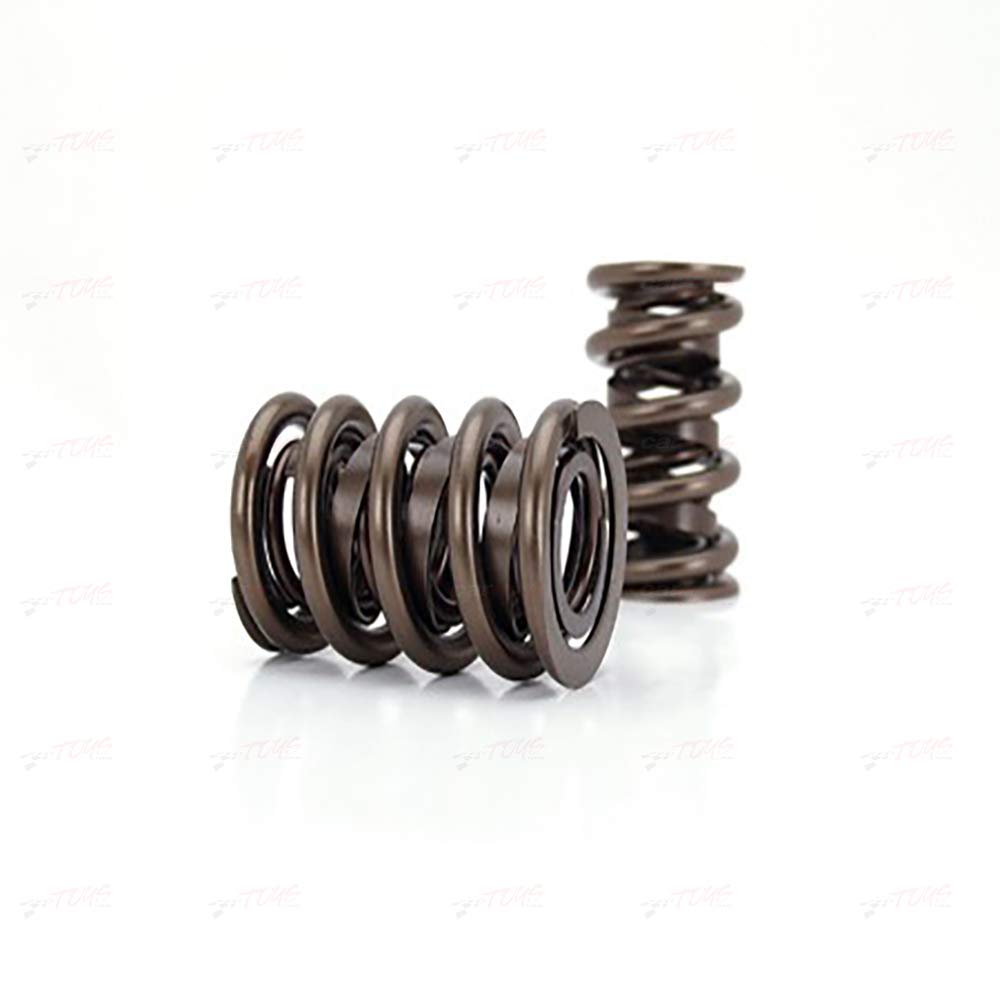Professional Manley Series 22441-16 Valve Springs