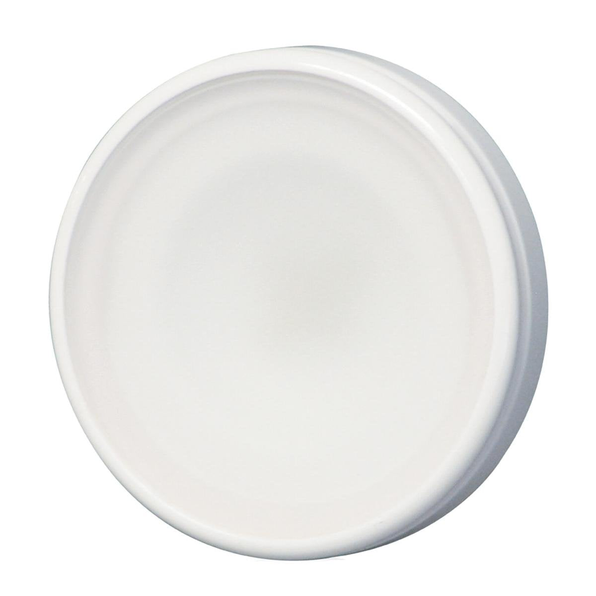 Orbit Lumitec 112529 Down Light Flush Mount, Warm White