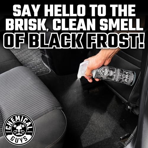 Chemical Guys Black Frost AIR_224_04 Air Freshener and Odor Eliminator, (Great for Cars, Trucks, SUVs, RVs, Home, Office, Dorm Room & More) 4 fl oz