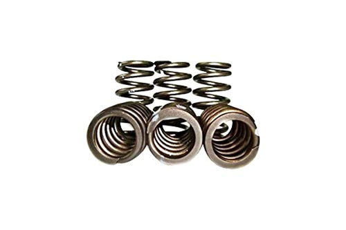 12-valve Pacbrake 60lbs valve spring