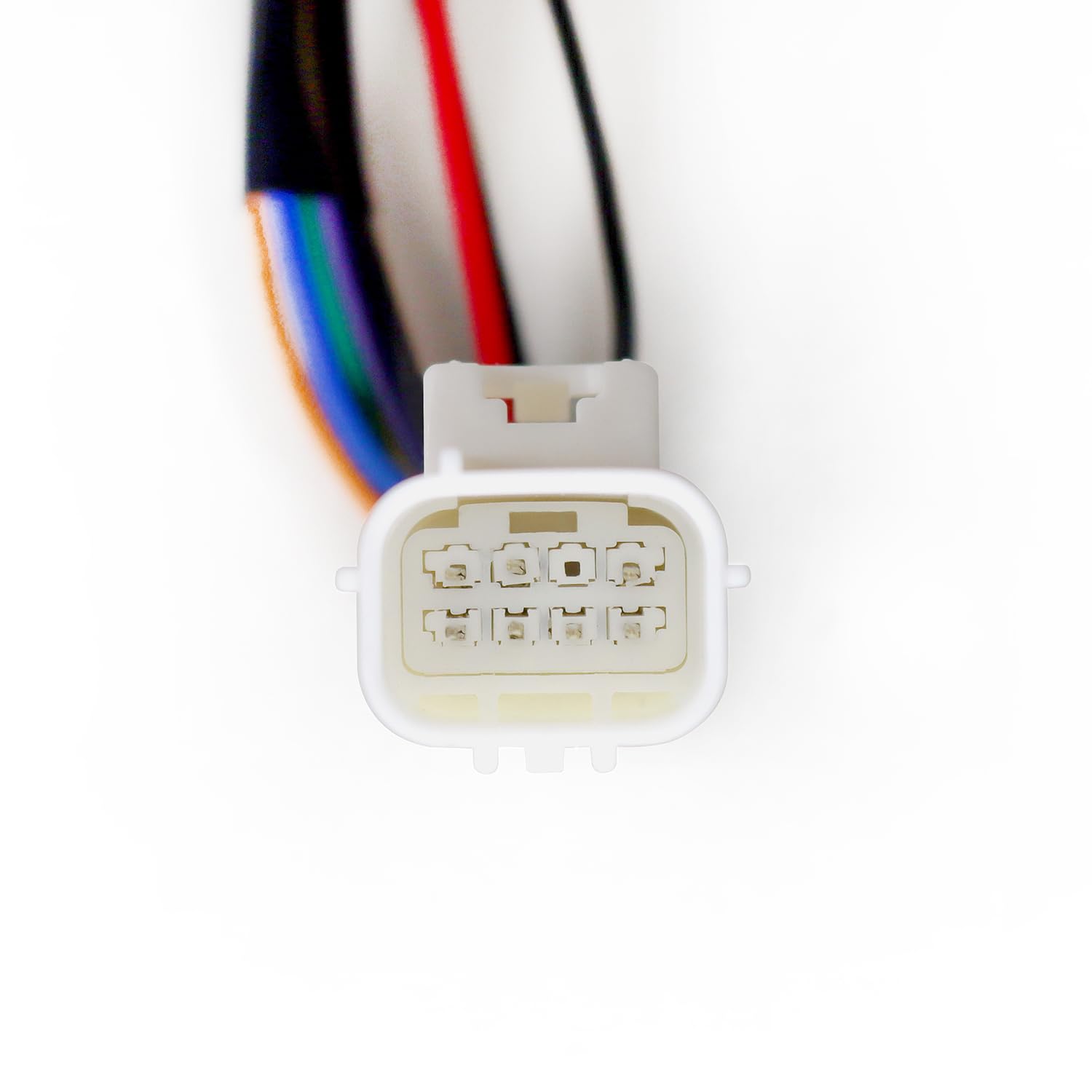810031 Alpharex