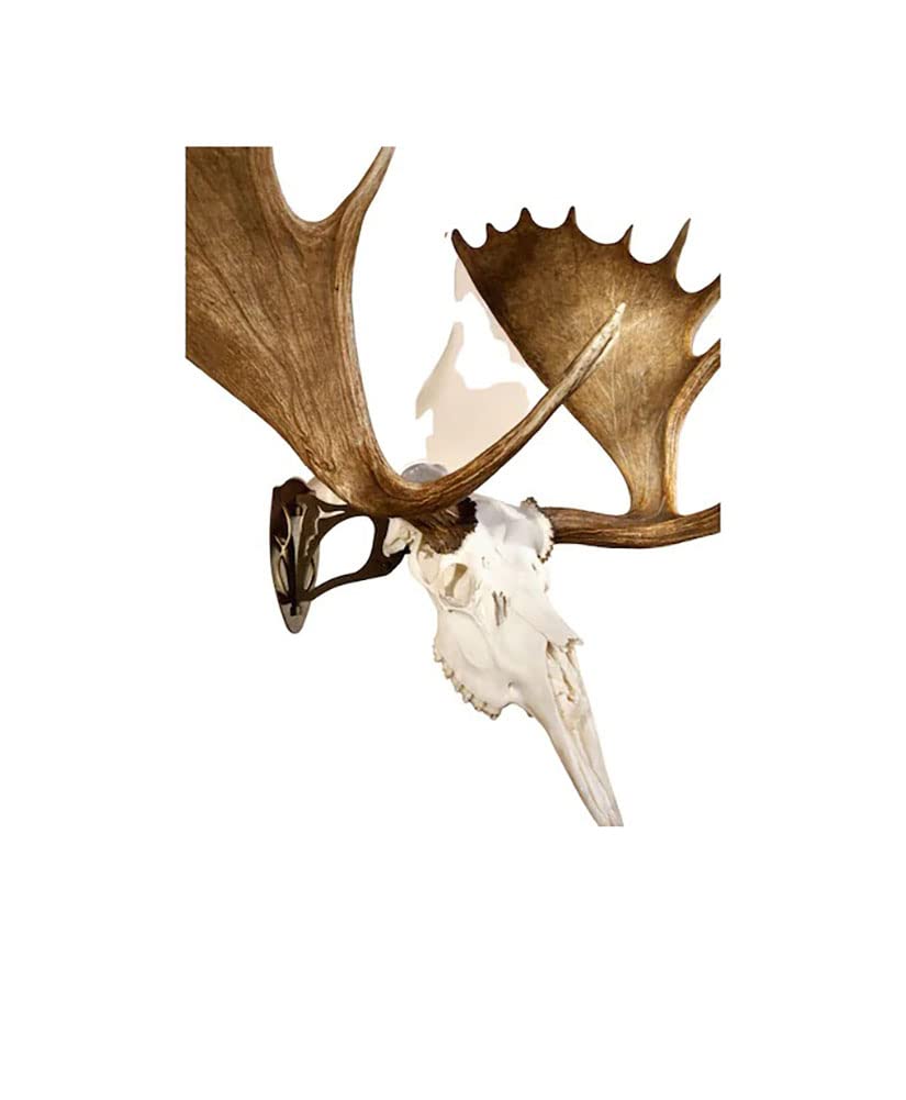 Skull Hooker Powder-Coated Steel Big Hooker Short Arm Trophy Mount - Perfect for Hanging and Mounting Larger Species - Bison, Cape Buffalo and Smaller Elk, Robust Brown