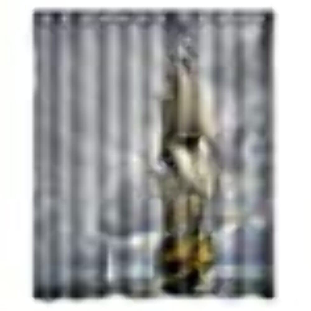 Sail_Ship Style Decorations for Bathroom Decor Daniellestore Home Polyester Fabric Waterproof Shower Curtain 60x72 Inches