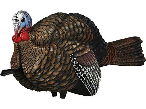 LCD Avian X 1/2 Strut Jake Turkey Decoy