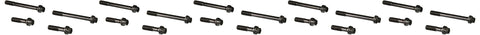 Head Bolt Kit ARP 144-3605