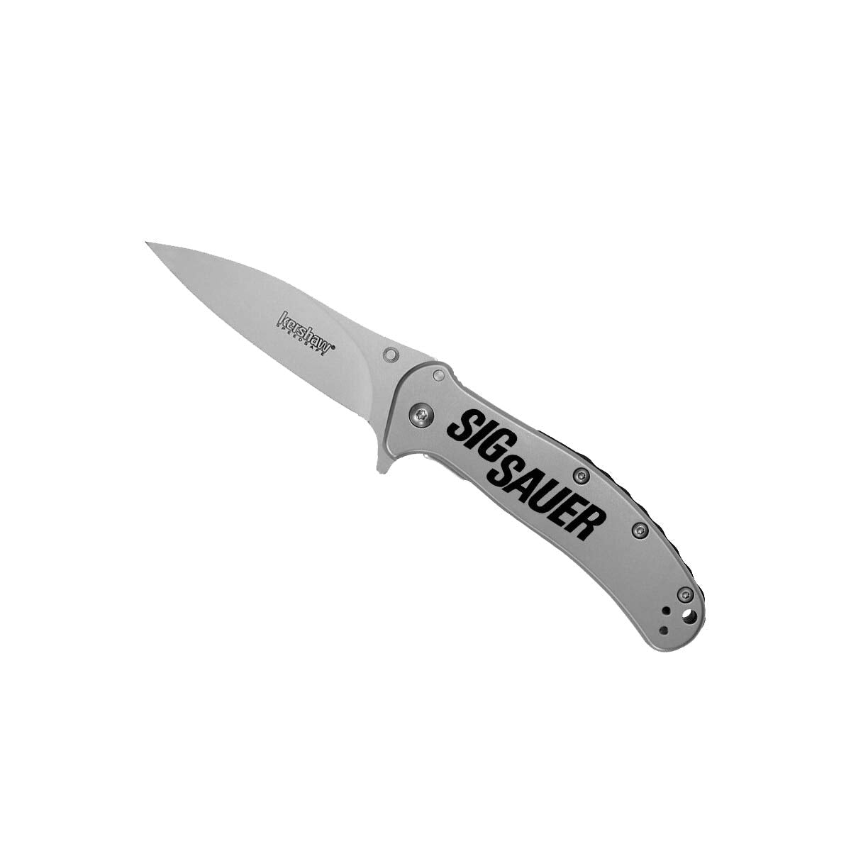 Kershaw Pocketknife Zing SS, 3" 8Cr13MoV Stainless Steel Blade, Assisted Thumb-Stud and Flipper Opening EDC