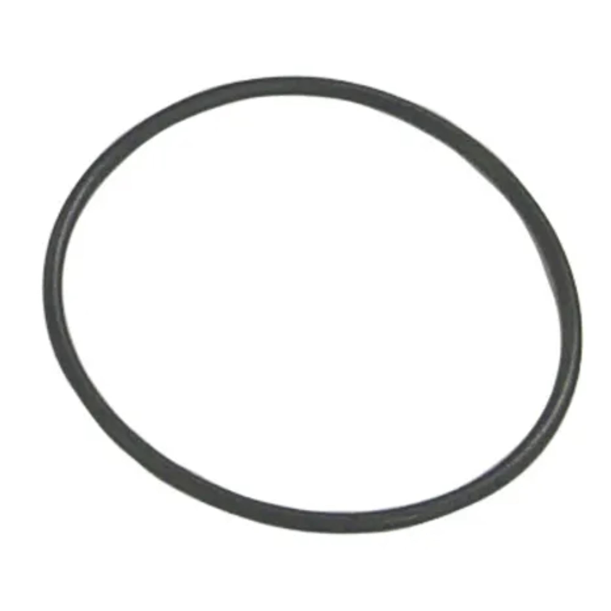 O-Ring Sierra (Priced Per Pkg of 5), 18-7163-9