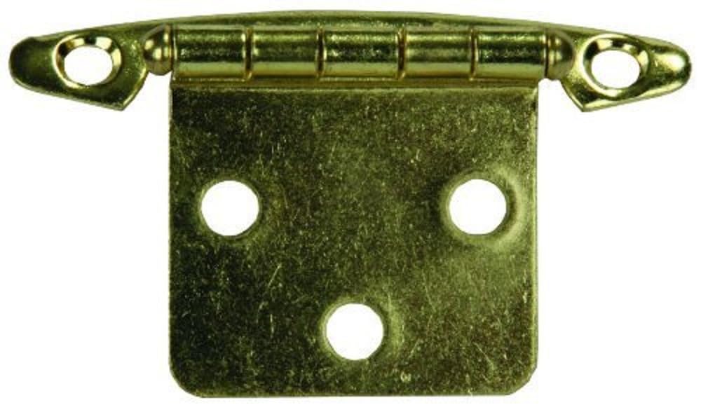 Brass JR Products 70615 Free Swing Flush Mount Hinge