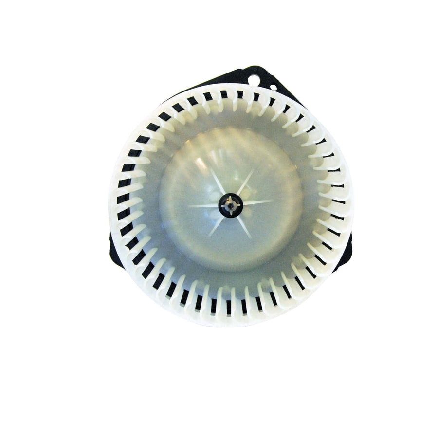 Blower Assy TYC 03-05 Bk Pk Ave