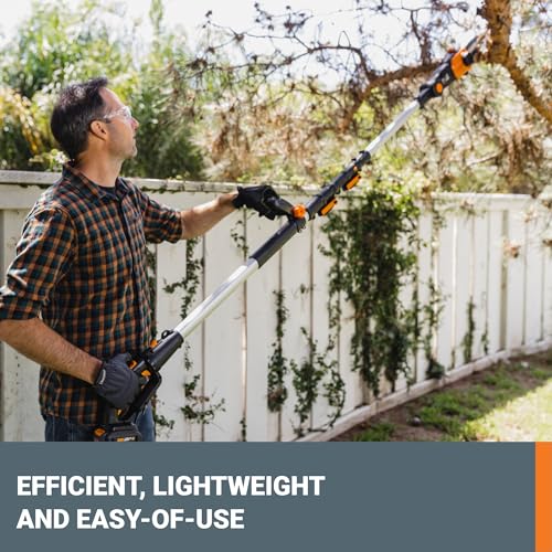 20V Worx Nitro 8 '' cordless pole chainsaw 2.0 Ah battery and charger included WG349