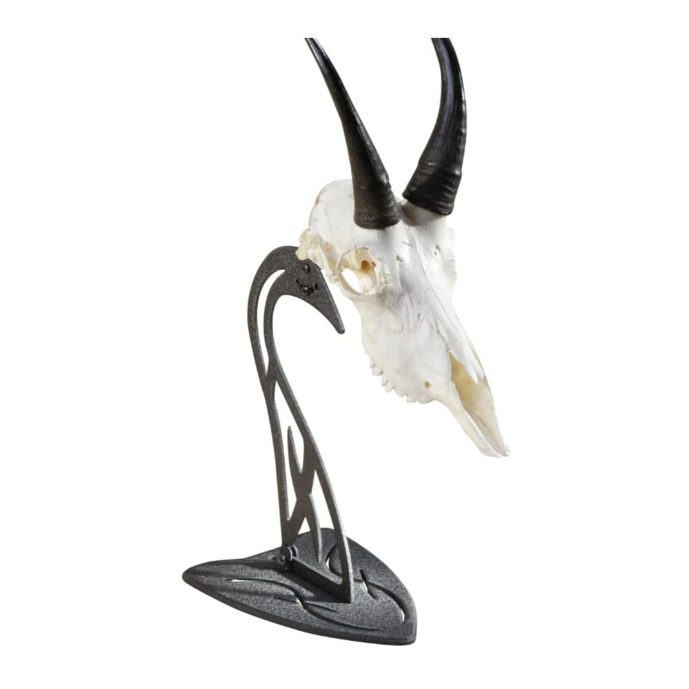 Skull Hooker European Trophy Mount Table Hooker – Perfect Kit for Table Display of Taxidermy Deer Antlers and other Skulls – Graphite Black