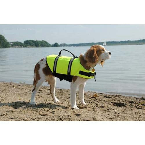 Medium Paws Aboard Dog Life Jacket Yellow 20 - 50 lbs (Set of 3)