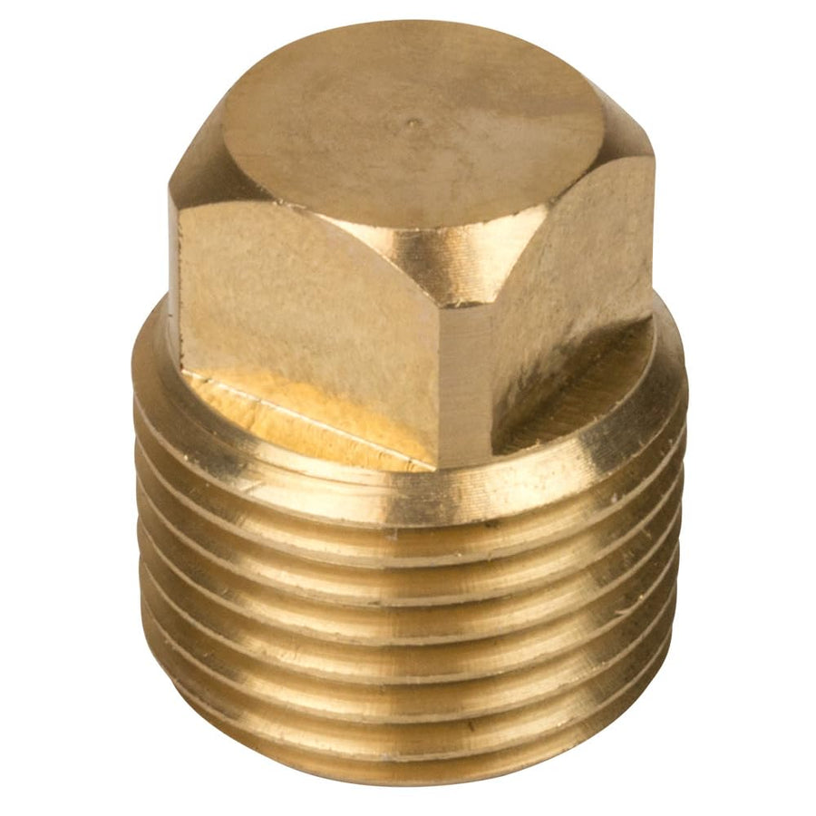 Garboard Replacement Plug Sea Dog, 30-Piece Display