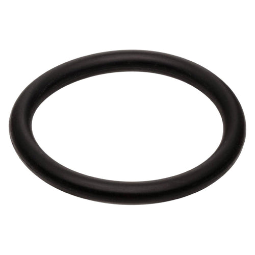 Gaskets Fel-Pro 404 O-Ring