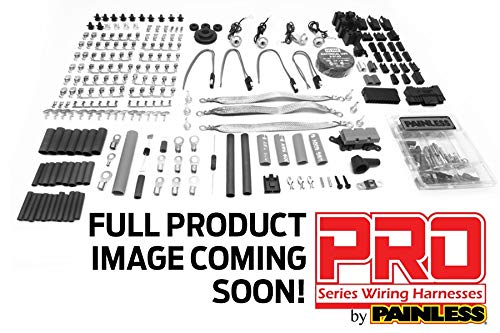 Pro-Series Painless Performance 10414 GM Chassis Harness w/Bulkhead Pass-Through, Key in Dash, 25 Circuits