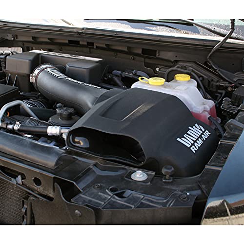 41882-D Banks Air Intake System