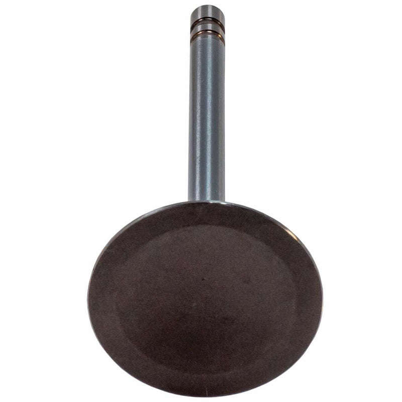V0988 Melling Intake Valve